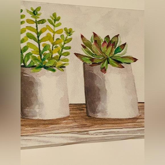 Canvas Wall Art “Succulent Pots” by Cindy Jacobs - Picture 8 of 14